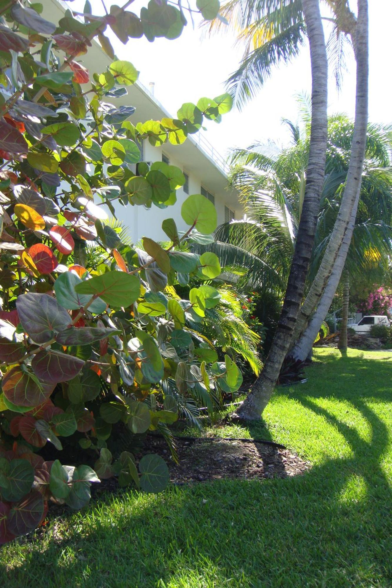 El Patio Motel Key West Exterior foto