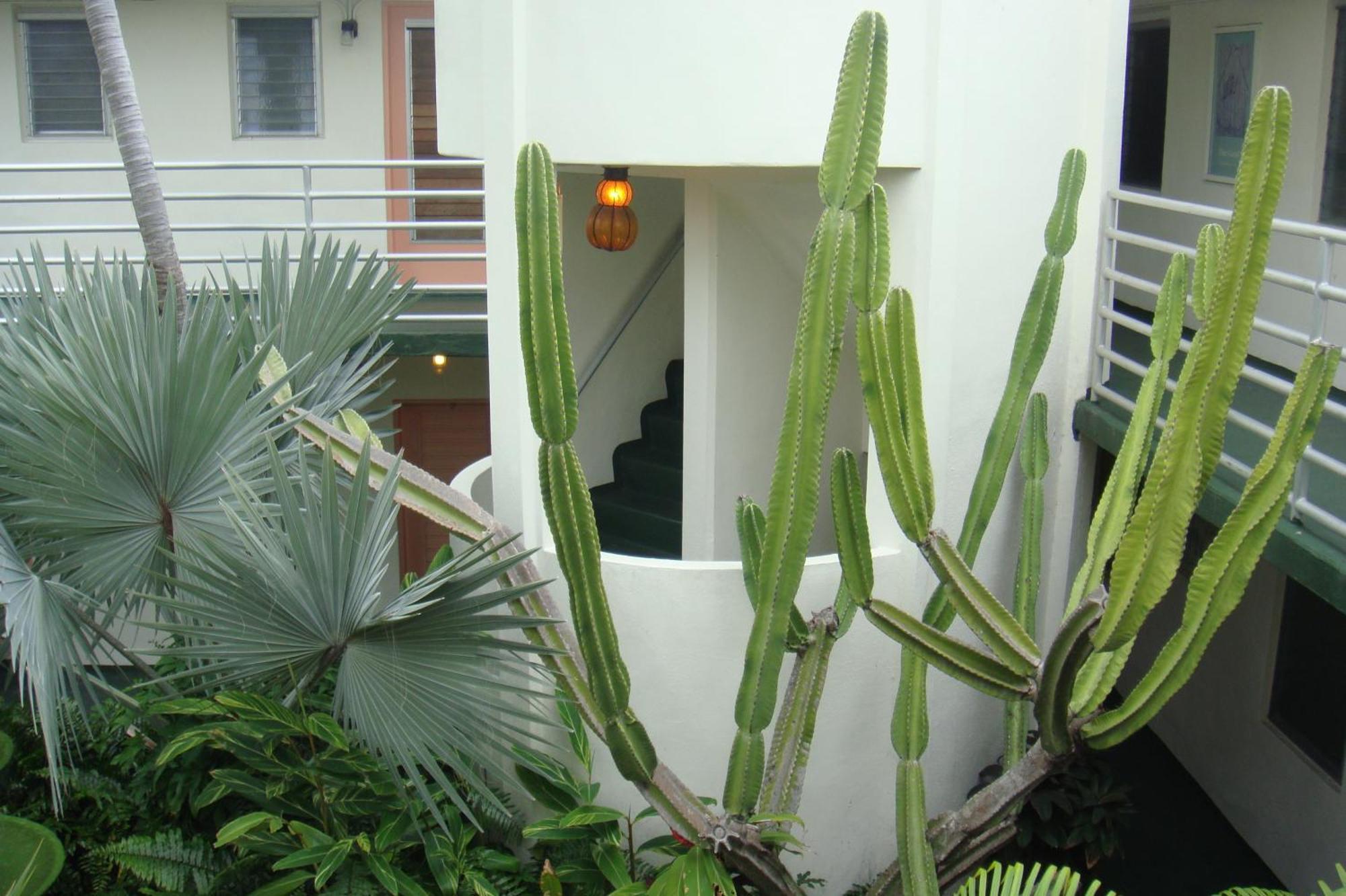 El Patio Motel Key West Exterior foto